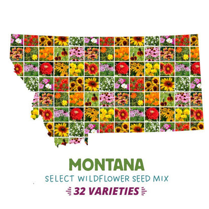 Montana Select Wildflower Seed Mix