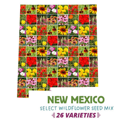 New Mexico Select Wildflower Seed Mix