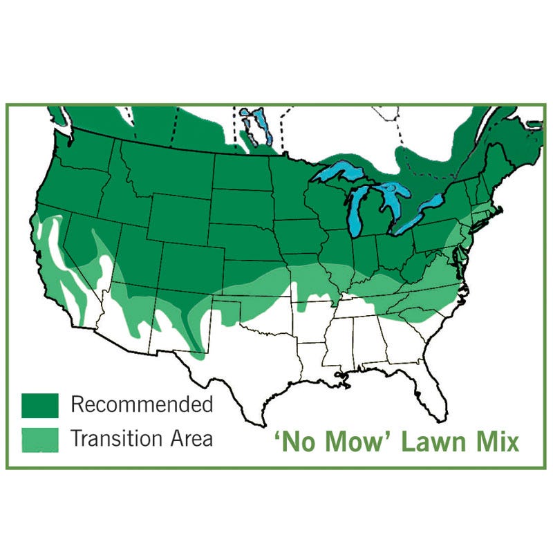 10 lb No Mow Lawn Grass Seed by American Meadows
