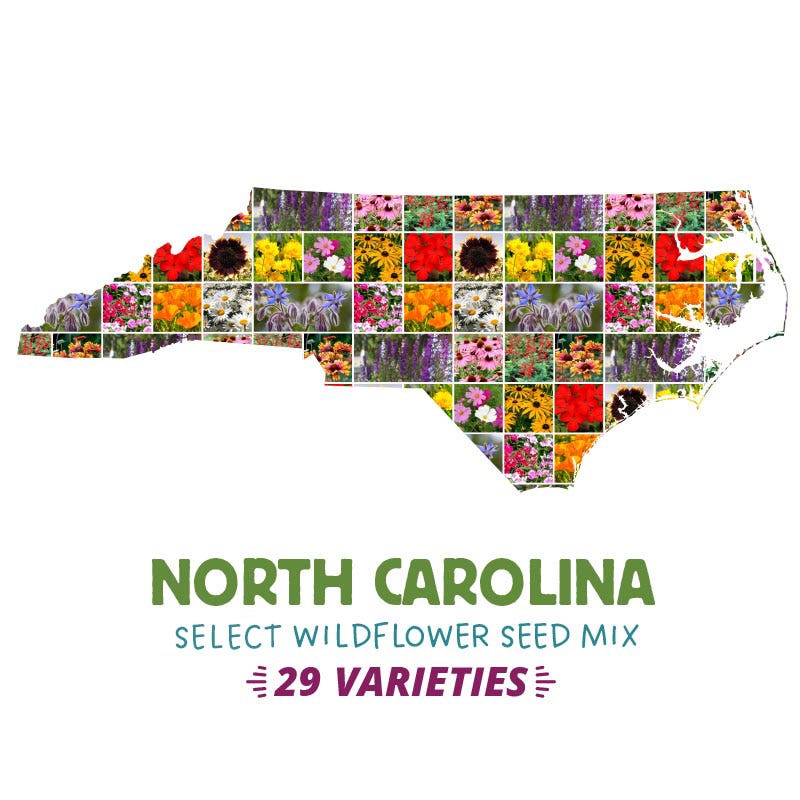 North Carolina Select Wildflower Seed Mix