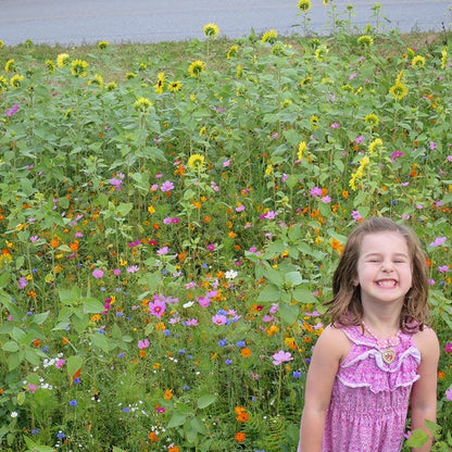 Massachusetts Select Wildflower Seed Mix