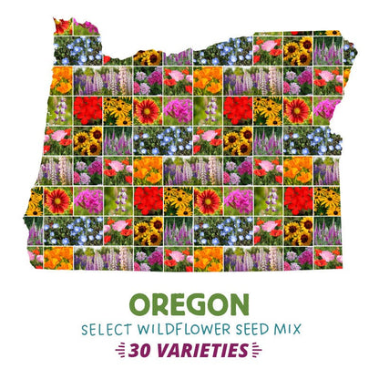 garden seeds oregon Oregon Wildflower Seed Mix |30 Easy-Growing Blooms