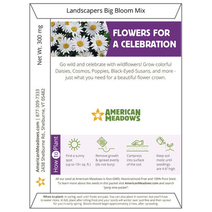 Party Time Seed Packet