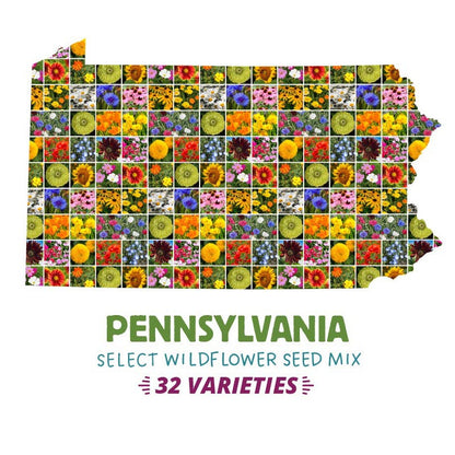 pennsylvania wildflower seeds Pennsylvania Select Wildflower Seed Mix