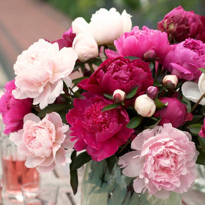 Cotton Candy Peony Mix