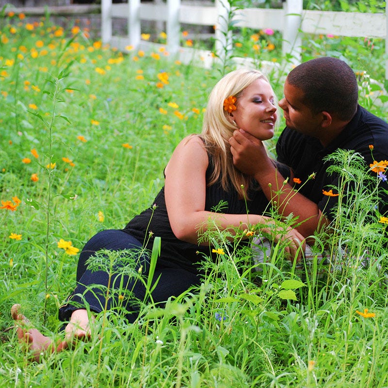 Picket Fence Wildflower Seed Mix