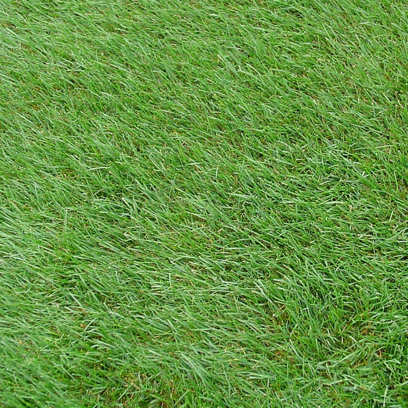 Horse Pasture and Hay Seed Mix