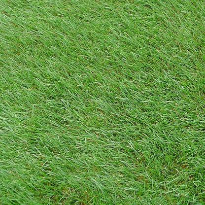 Horse Pasture and Hay Seed Mix