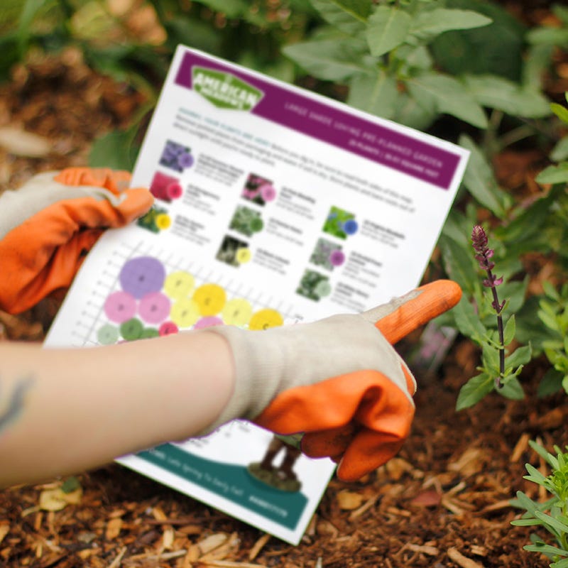 Support Your Pollinators Pre-Planned Garden