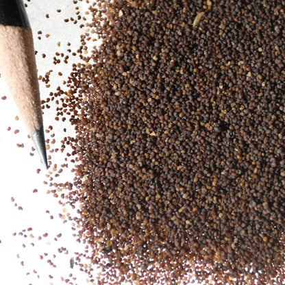 Red Poppy Seeds