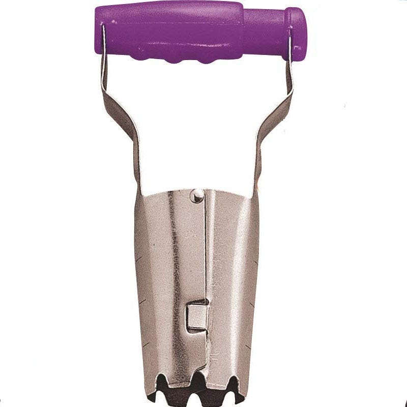 Releasable Bulb Planter