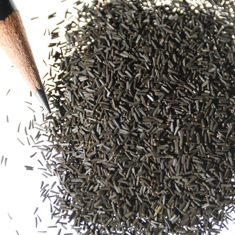 Black Eyed Susan Seeds