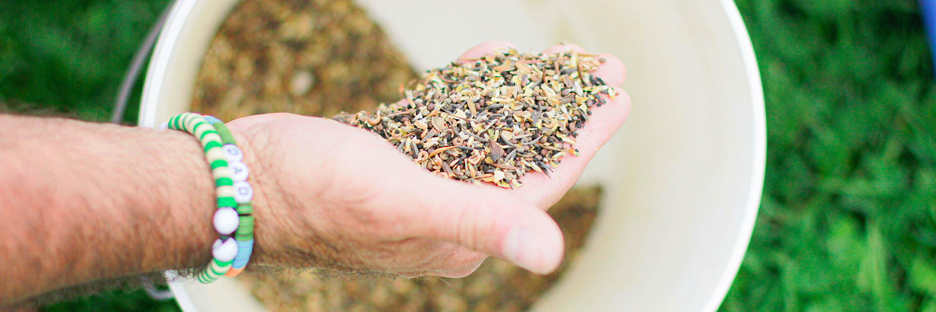 Hand holding mixed wildflower seeds over a white container with additional seed packets
