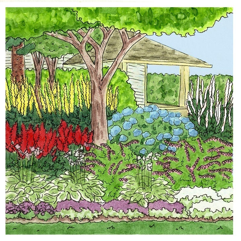 Shade Loving Pre-Planned Garden