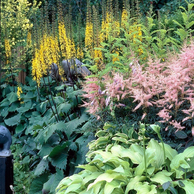 Shade Loving Pre-Planned Garden