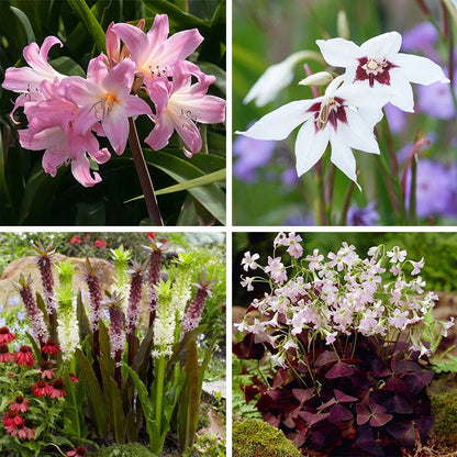 Show and Tell Unique Bulb Collection