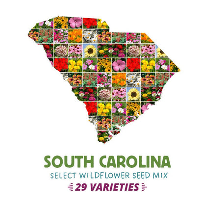 native wildflower seeds south carolina South Carolina Select Wildflower Seed Mix