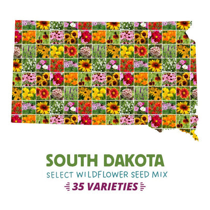 South Dakota Select Wildflower Seed Mix