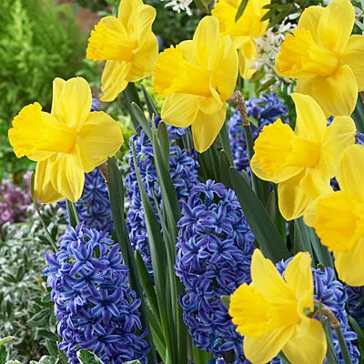 Spring Has Sprung Mix