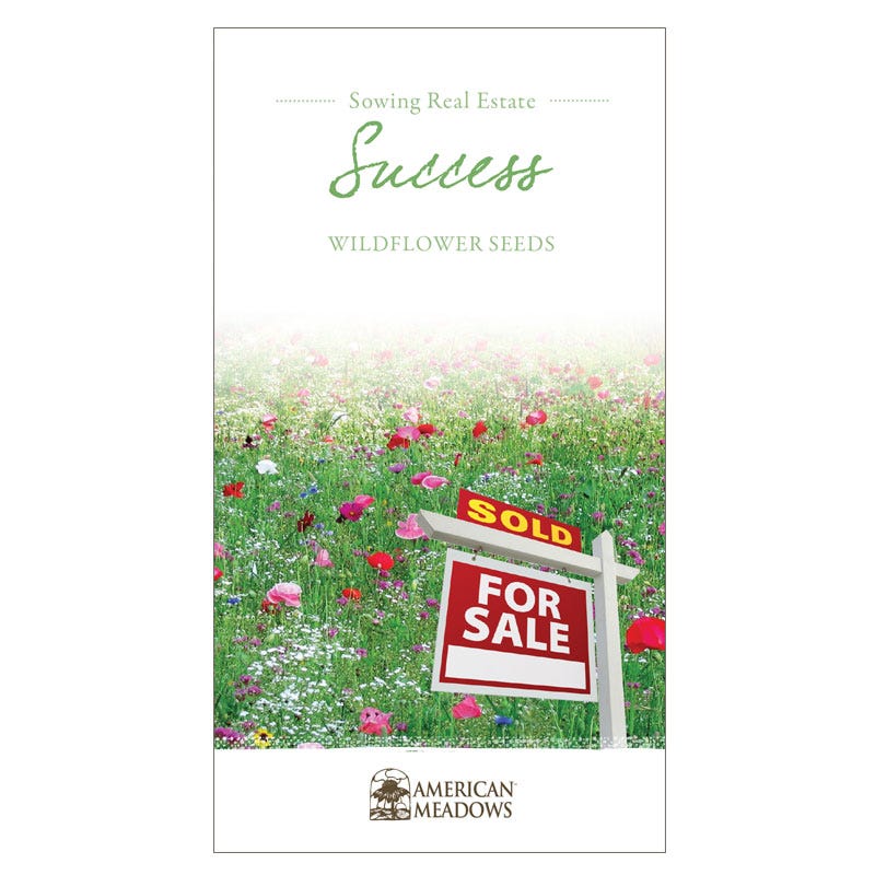 Sowing Real Estate Success Seed Postcard