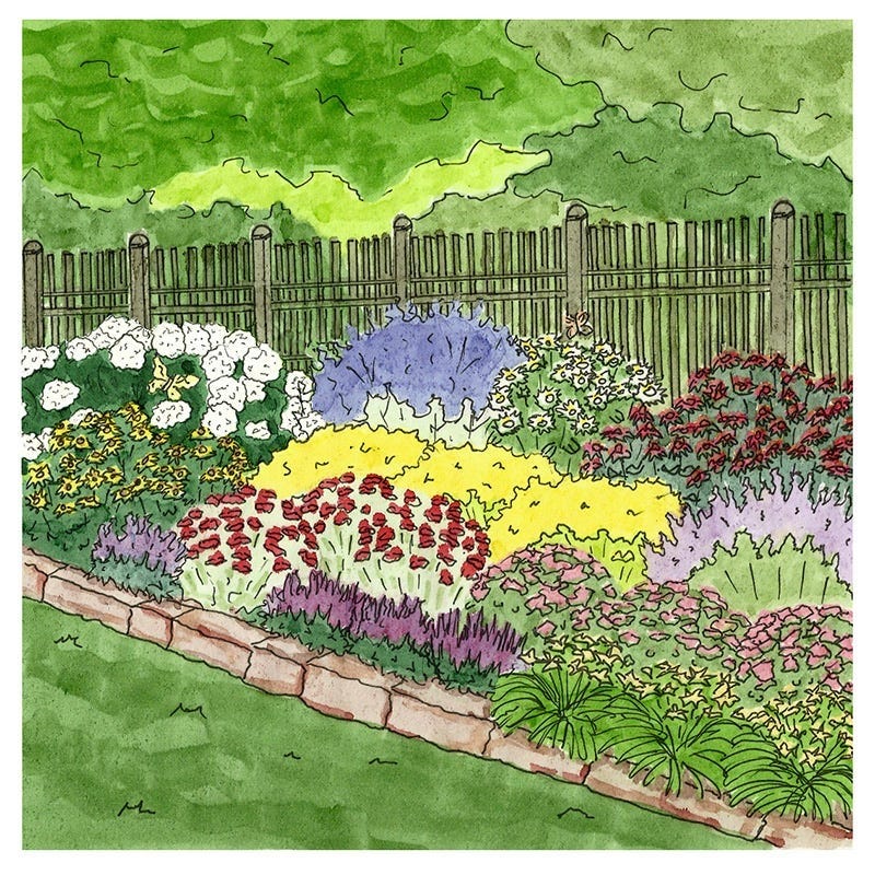 Summer Long Blooms Pre-Planned Garden