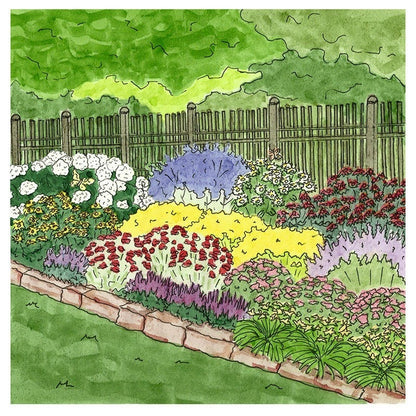 Summer Long Blooms Pre-Planned Garden