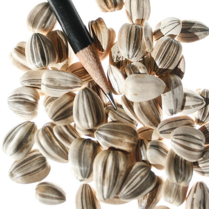 Mammoth Grey Stripe Sunflower Seeds