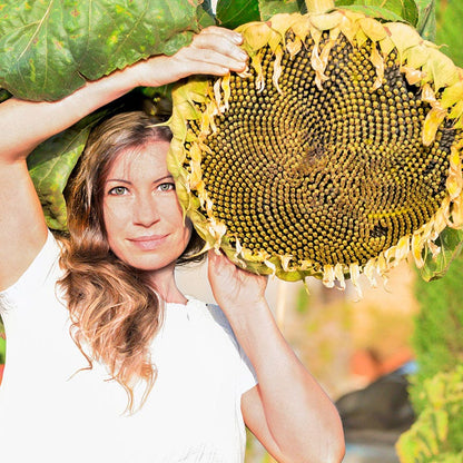 Mongolian Giant Sunflower Seeds