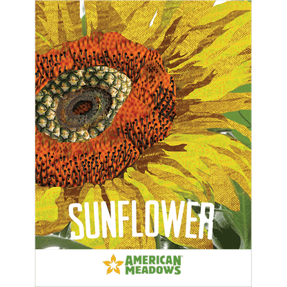 Sunflower Art Print Seed Packet