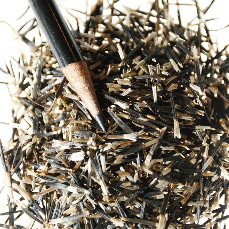 Crackerjack Mix Marigold Seeds