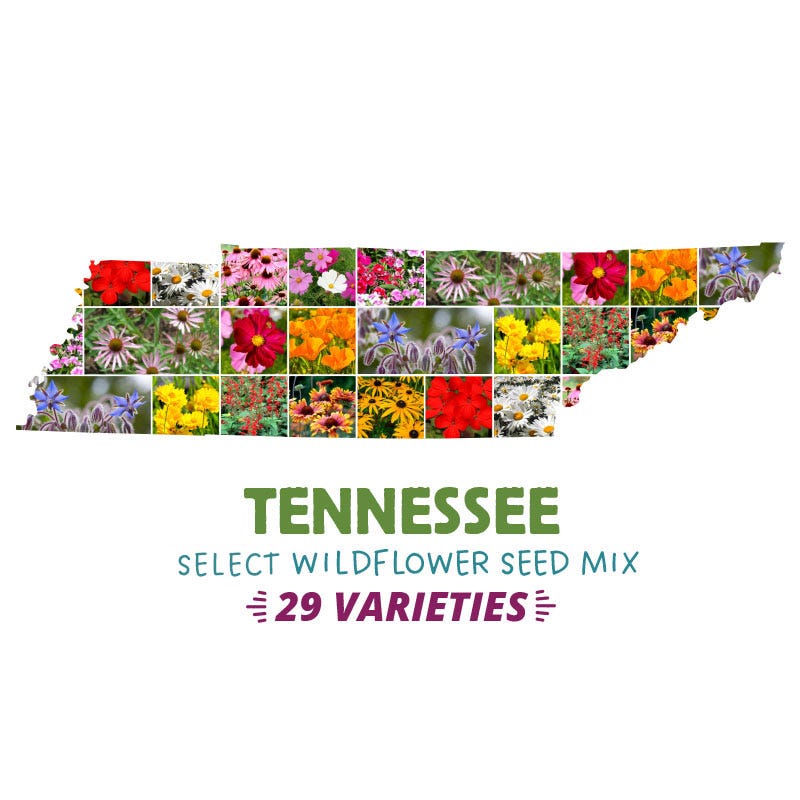 Tennessee Select Wildflower Seed Mix