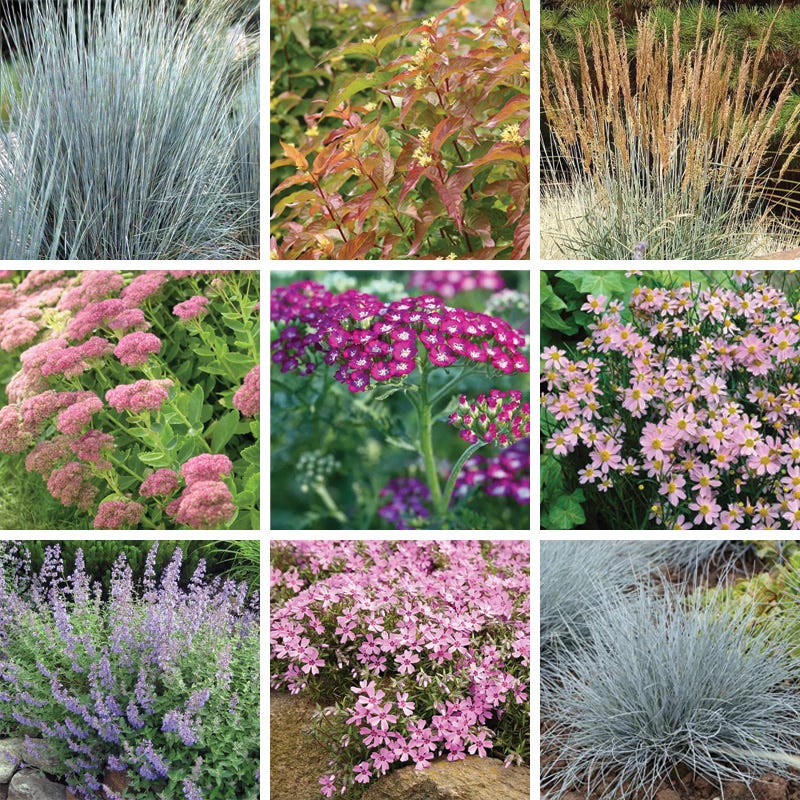 Tranquil Beauty Curb Appeal Pre-Planned Garden