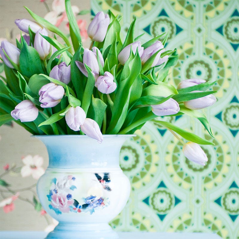 Candy Prince Single Early Tulip