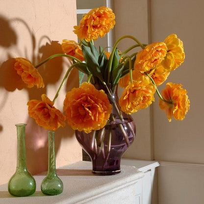 Sunlover Double Late Tulip