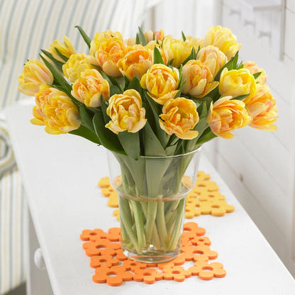 Foxy Foxtrot Double Early Tulip