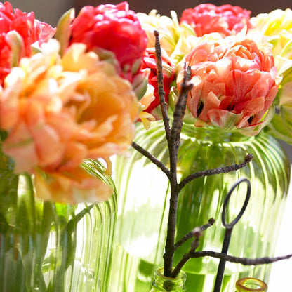 Gudoshnik Double Late Tulip