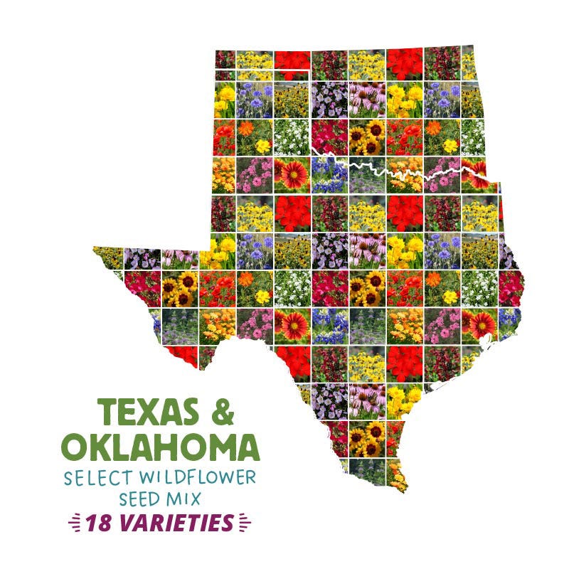Texas & Oklahoma Select Wildflower Seed Mix