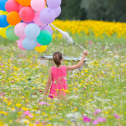 Value Bulk Wildflower Seed Mix