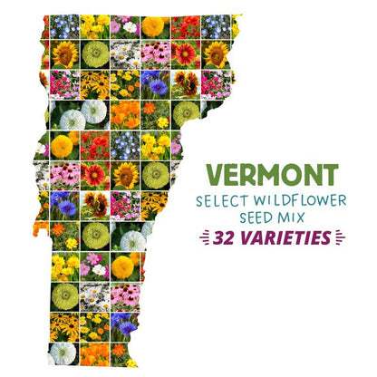 Vermont Select Wildflower Seed Mix