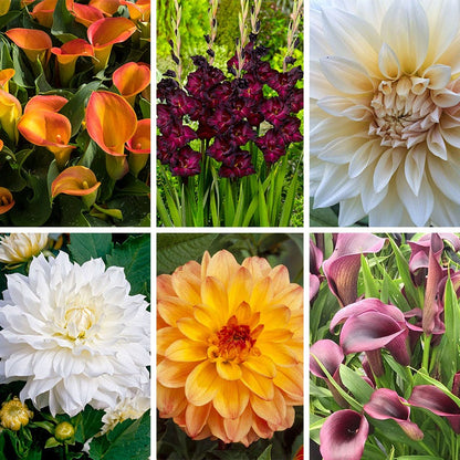 Vintage Bouquet Bulb Collection