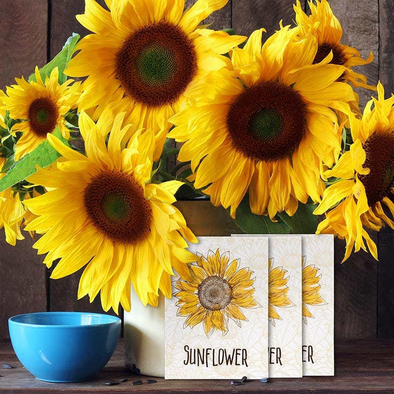 Sunflower Wallpaper Print Seed Packet