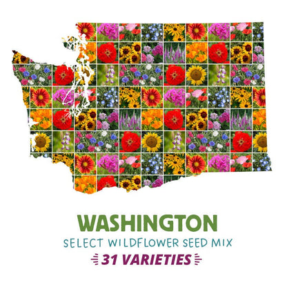 garden seeds washington state Washington Select Wildflower Seed Mix