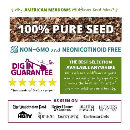 vermont native wildflower seeds Vermont Select Wildflower Seed Mix
