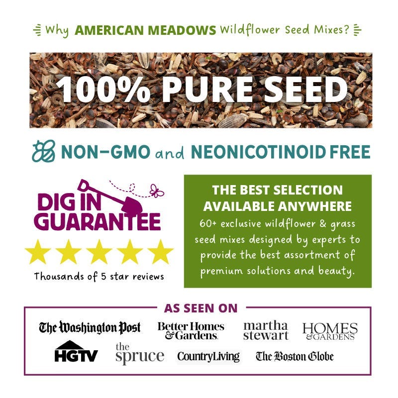Montana Wildflower Seed Mix