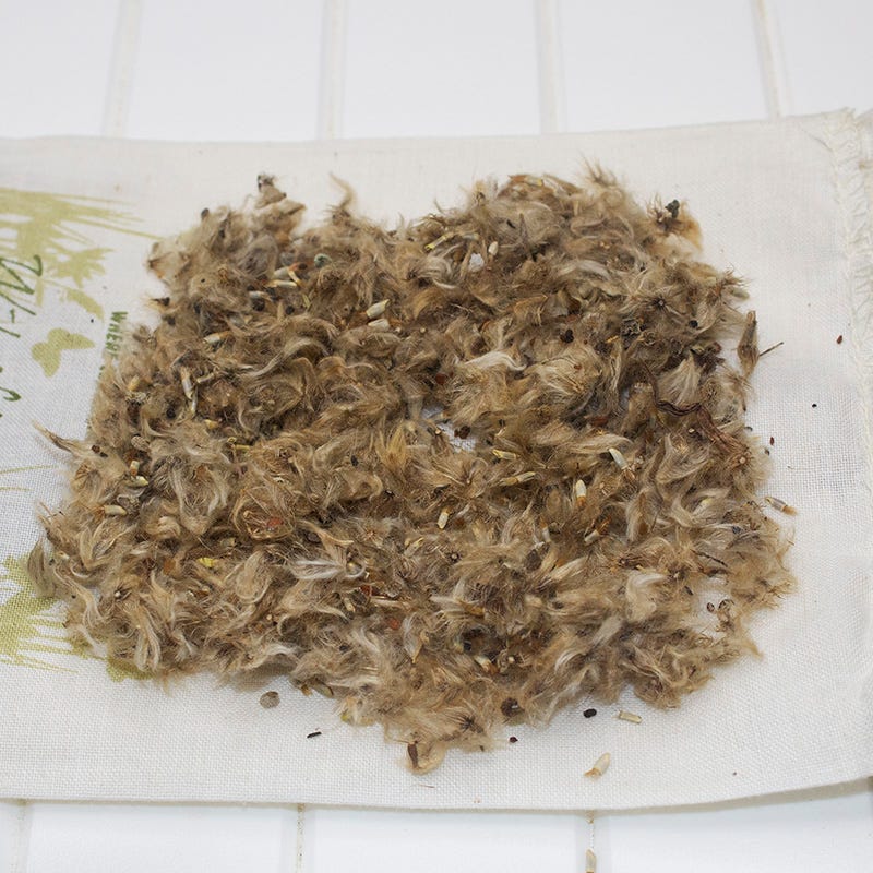 Wildflower Yard Annual Bold Color Seed Mix