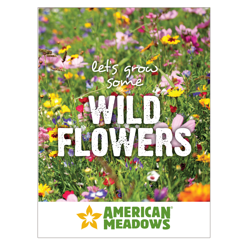 Let's Grow Wildflowers Seed Packet