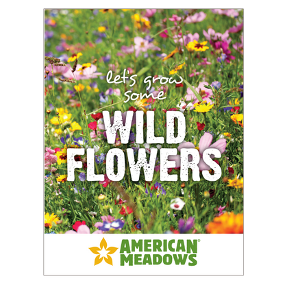 Let's Grow Wildflowers Seed Packet