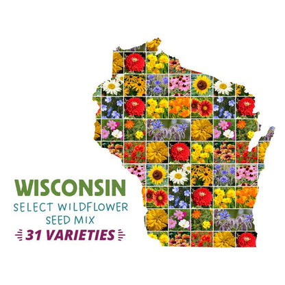 wisconsin wildflower seed mix Wisconsin Select Wildflower Seed Mix