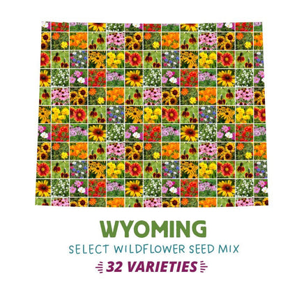 Wyoming Select Wildflower Seed Mix
