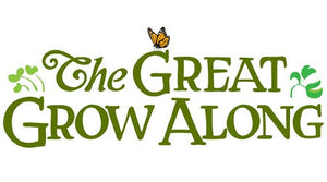 The Great Grow Along10